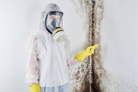 Best Forensic Mold Investigation  in Weddington, NC